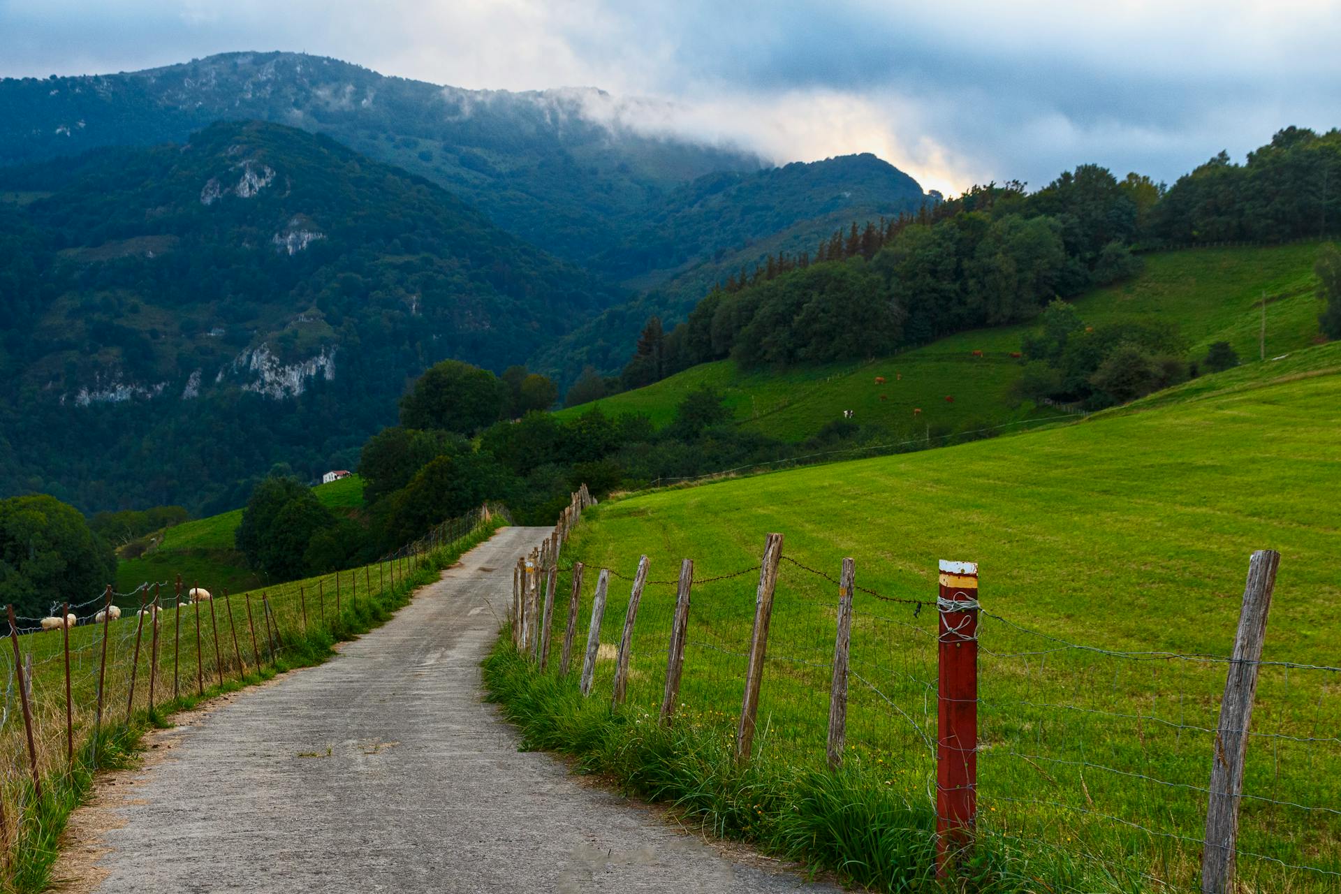https://www.pexels.com/zh-cn/photo/14326763/