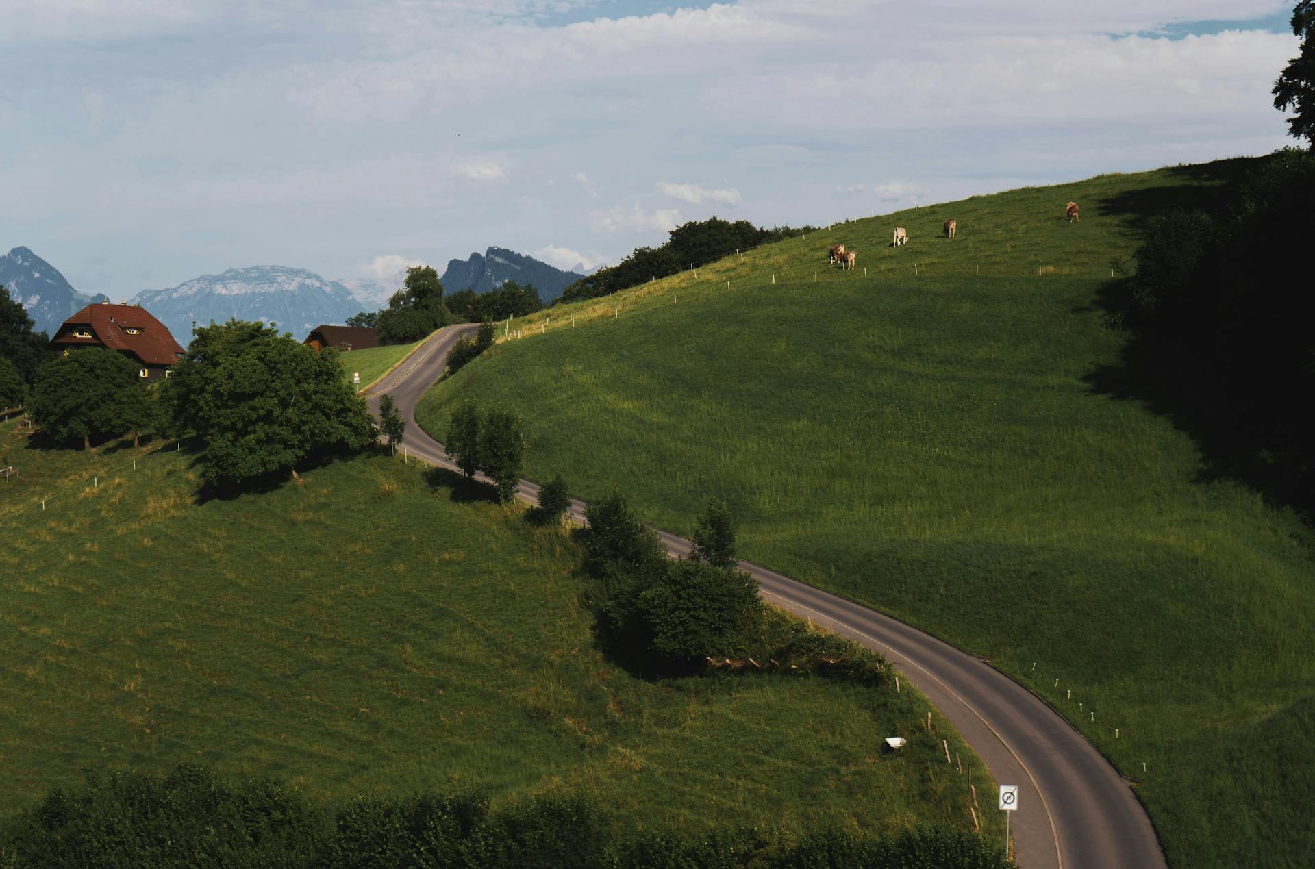 https://www.pexels.com/zh-cn/photo/28829673/