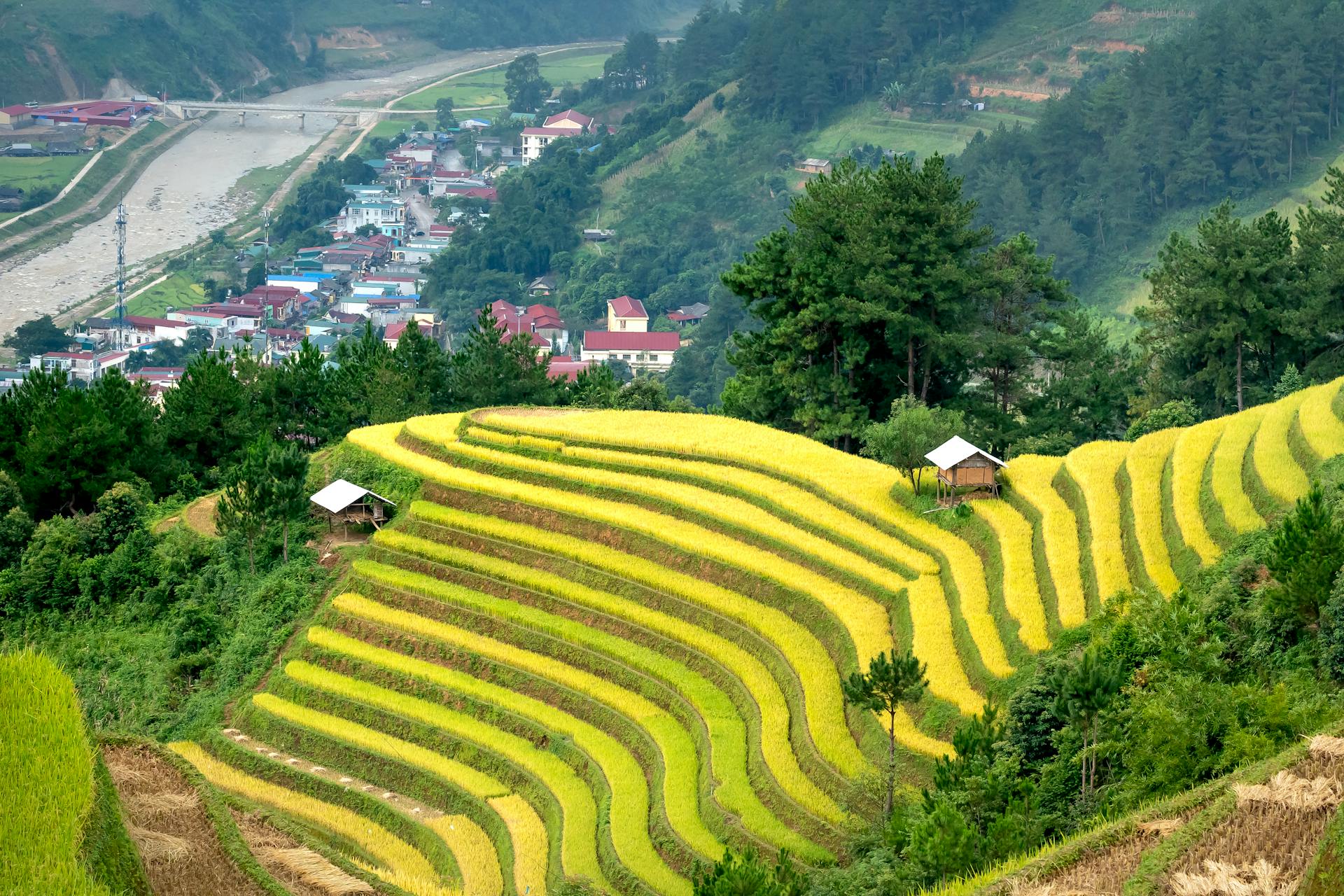 https://www.pexels.com/zh-cn/photo/6131289/